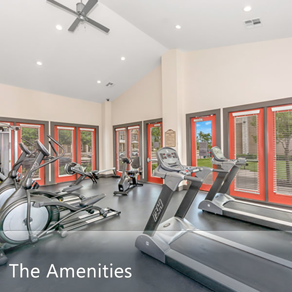 Features & Amenities