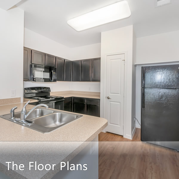 Spacious Floor Plans